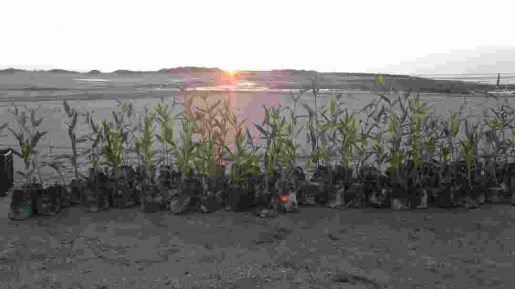 photo 2018 12 27 07 49 39