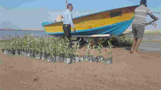 photo 2018 12 27 07 49 51