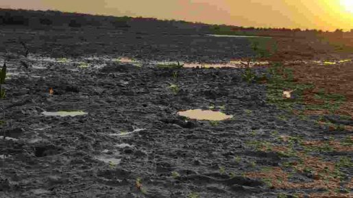 photo 2018 12 27 07 49 55