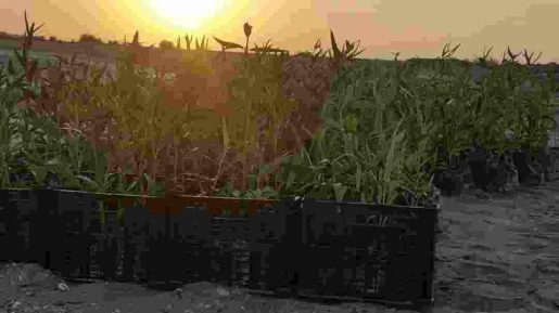 photo 2018 12 27 07 50 00