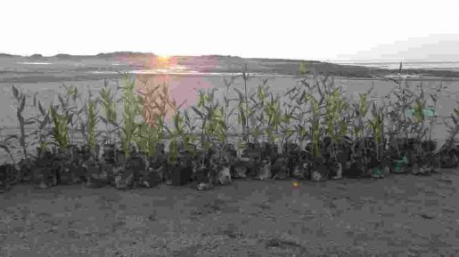 photo 2018 12 27 07 50 06