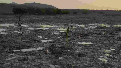 photo 2018 12 27 07 50 09