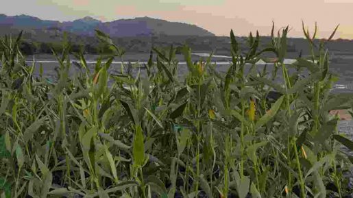 photo 2018 12 27 07 50 14 1