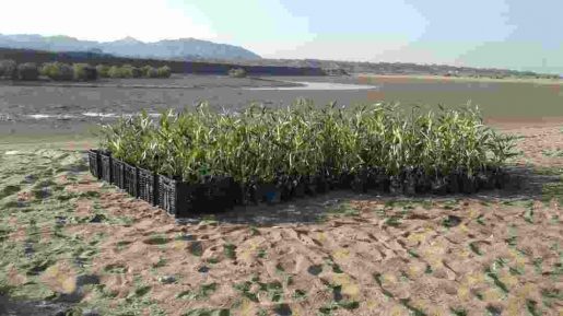 photo 2018 12 27 07 50 21