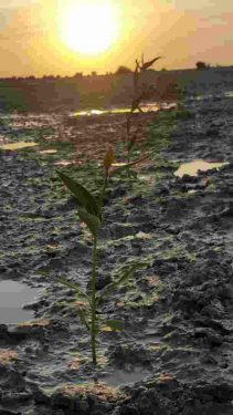 photo 2018 12 27 07 50 28