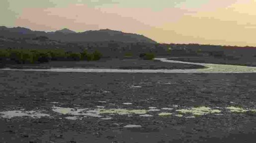 photo 2018 12 27 07 50 34