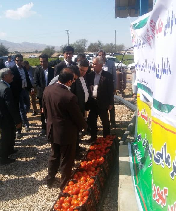 WhatsApp Image 2019 02 05 at 19.43.27