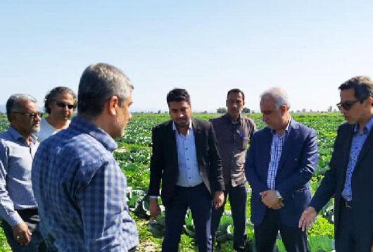 بهره برداری از طرح ۳ هزار و ۷۰۰ هکتاری آبیاری نوین شاخه شمالی دشت میناب در دهه فجر