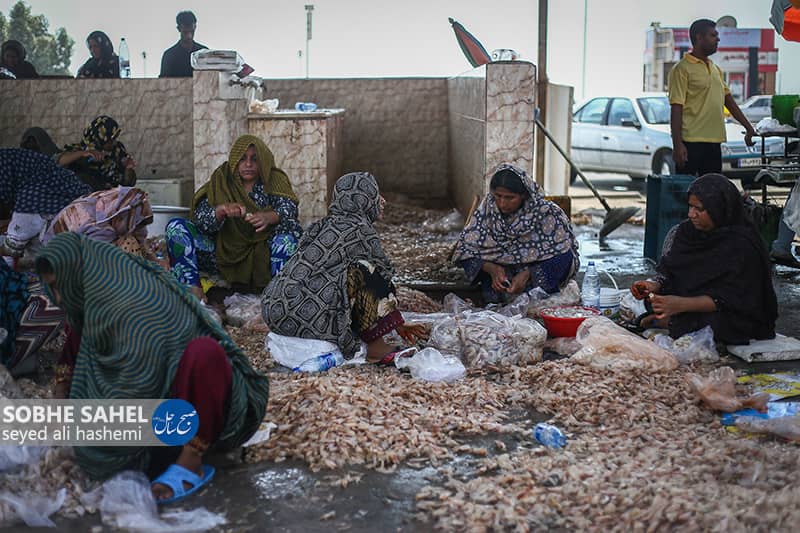 زنگ خطر آلودگی در بندرعباس