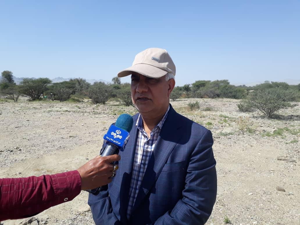 رییس سازمان جهادکشاورزی هرمزگان: هرمزگان در پیشانی مبارزه با ملخ صحرایی است