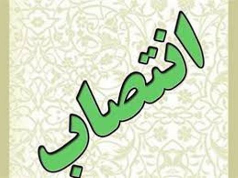 انتصاب شش هرمزگانی در کمیسیون سلامت، محیط‌زیست، خدمات شهری و روستایی شورای عالی استان ها
