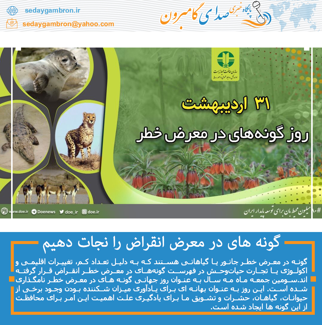 گونه های در معرض انقراض را نجات دهیم