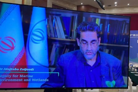 مرکز بین‌المللی حفاظت از مانگرو ایجاد می‌شود/ وجود ۱۹۲ کیلومتر مربع جنگل حرا در ایران