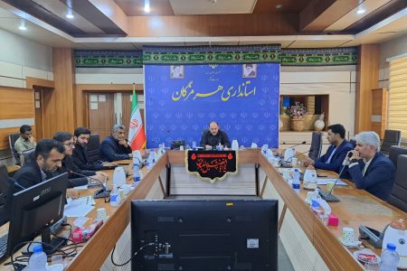 استاندار هرمزگان: دستاوردهای دولت باید از زبان مردم گفته شود