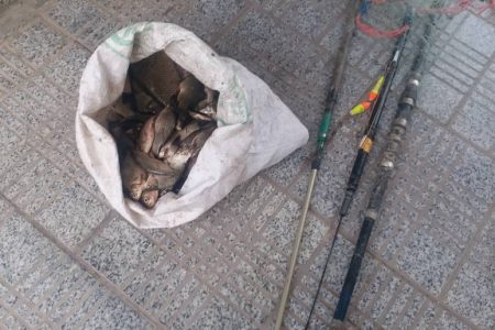 دستگیری صیادان غیرمجاز در حاشیه رود ارس