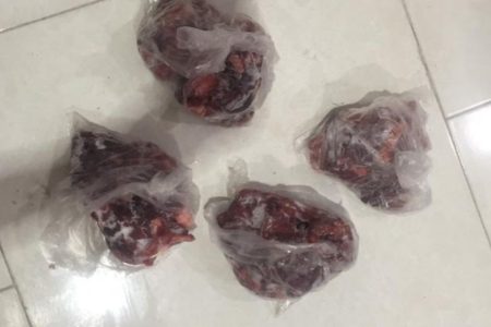 دستگیری یک نفر متخلف شکاروصید در شهرستان بستک