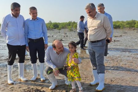 پویش کاشت ۶٫۵ میلیون نهال در استان با سرعت در حال انجام است