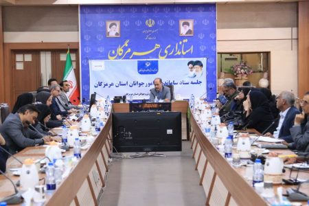 🇮🇷🇮🇷 معاون سیاسی، امنیتی و اجتماعی استانداری هرمزگان در ستاد ساماندهی امور جوانان استان: