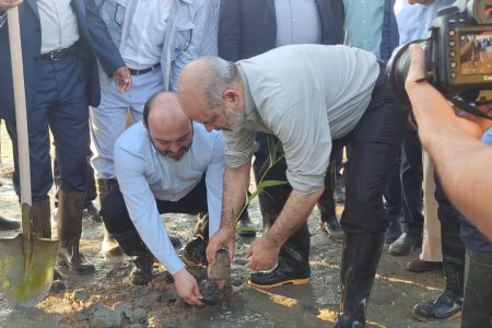 ۲۰۰ هکتار جنگل‌کاری در استان هرمزگان آغاز شد