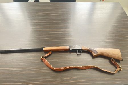 کشف وضبط یک قبضه سلاح شکاری تکلول غیرمجاز در کردکوی