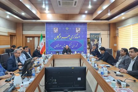۵۲ درصد پیشرفت مسکن ملی استان؛  گزارش ‌های شورای مسکن به نازک کاری رسید