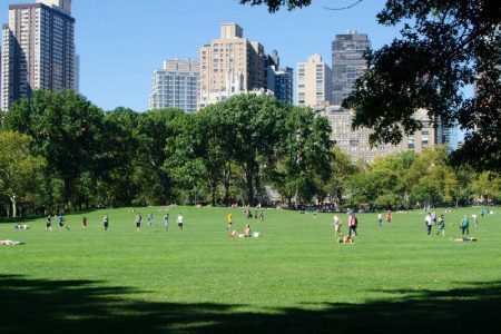 ضرورت توسعه سرانه فضای سبز شهری