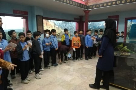 «موزه محیط زیست هرمزگان برای دومین سال متوالی در رتبه دوم آموزش موزه‌های کشور»