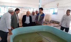 حفظ و احیای ذخایر ماهیان خاویاری و استخوانی دریای خزر یک اولویت ملی است