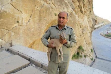 پیام تسلیت شینا انصاری به مناسبت شهادت محیط‌بان « هدایت الله دیده بان»