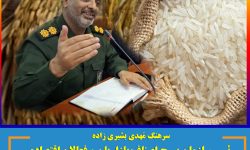 سرهنگ بشیری : ذائقه مردم هرمزگان برنج پاکستانی است ، نه برنج هندی