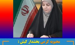 متن پیام محبوبه کرمی، بخشدار کیش به مناسبت روز خبرنگار
