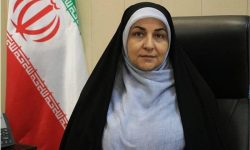 مجتمع فرهنگی‌هنری بوموسی را در طرح نشان دارکردن مالیات انتخاب کنید