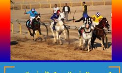 کسب دو مقام قهرمانی و یک نائب قهرمانی در هفته نهم کورس پاییزه یزد