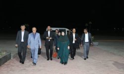 *معاون رئیس جمهور و رئیس سازمان حفاظت محیط زیست وارد هرمزگان شد*