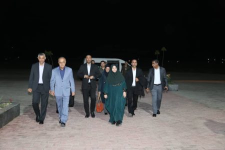 *معاون رئیس جمهور و رئیس سازمان حفاظت محیط زیست وارد هرمزگان شد*