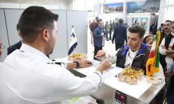 ابلاغ ضوابط جدید اصلاح نام و مشخصات مسافران در پروازهای داخلی و خارجی