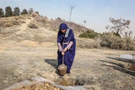 پیوستن رئیس سازمان حفاظت محیط‌زیست به پویش ملی درختکاری «سرو ایران