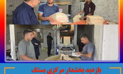 بازدید بخشدار مرکزی بستک از نانوایی های روستاهای برکه لاری و دهتل 