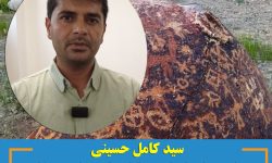 سیدکامل حسینی دهیار دهتل : حفظ پهنه های تاریخی حائز اهمیت است