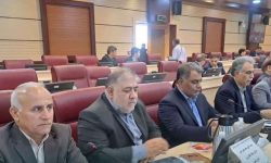 از تأمین مسکن تا ساماندهی نیروهای شرکتی؛ مسائل کارکنان جهاد کشاورزی کشور در دستور کار